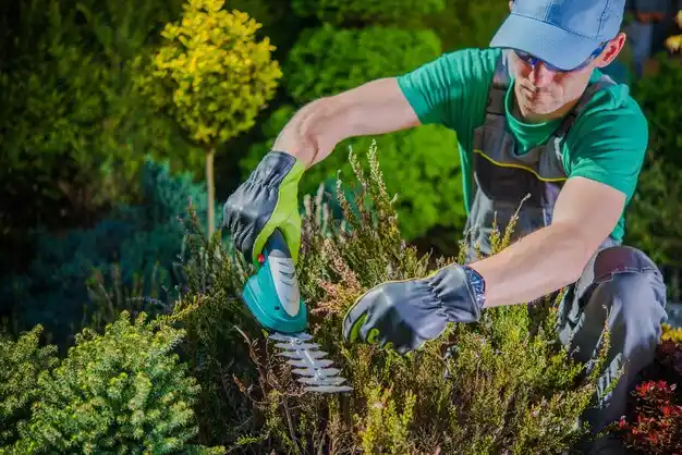 landscaping services Miami Heights